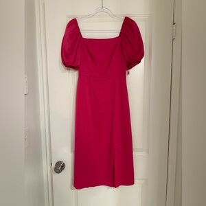 Hot Pink Sachin & Babi Dress size 4